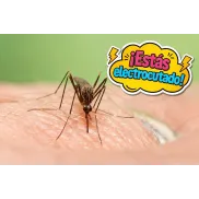 Exterminador eléctrico de insectos UV: trampa potente para mosquitos