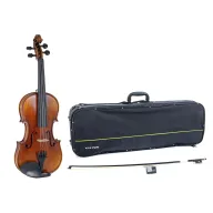 Juego de Violín GEWA Maestro 2 VL 4/4 con Accesorios