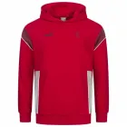 Sudadera con capucha A.C. Milan Hombre PUMA ftblARCHIVO