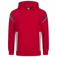 Sudadera con capucha A.C. Milan Hombre PUMA ftblARCHIVO