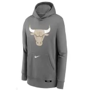 Sudadera gris Junior con capucha NIKE CHICAGO BULLS