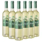 Botellas de Vino Verdejo Pata Negra - 6 Unidades