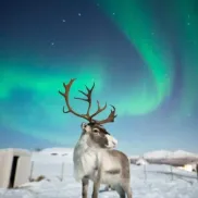 VUELOS de IDA y VUELTA a ALASKA desde Barcelona por 561€