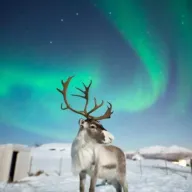 VUELOS de IDA y VUELTA a ALASKA desde Barcelona por 561€