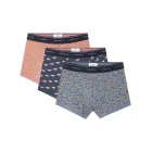 Boxers Hombre Egypt - Paquete de 3 Springfield