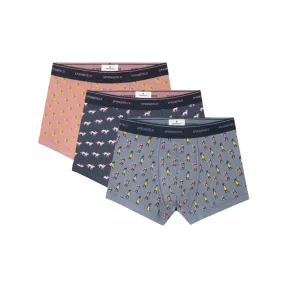 Boxers Hombre Egypt - Paquete de 3 Springfield
