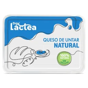 Queso natural para untar Dia Láctea 250 g