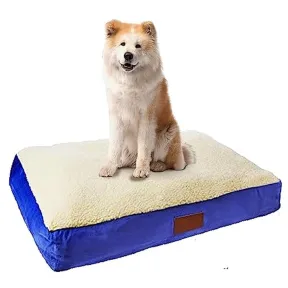 Cama de espuma viscoelástica para perros medianos 71 x 48 cm