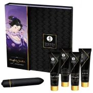 Naughty Geisha Shunga Kit: Placer y Diversión