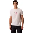 Camiseta corta Calvin Klein tallas L y XL