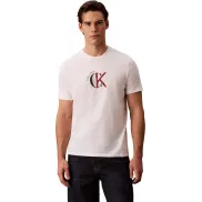 Camiseta corta Calvin Klein tallas L y XL