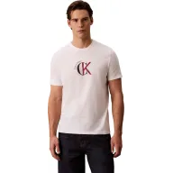 Camiseta corta Calvin Klein tallas L y XL