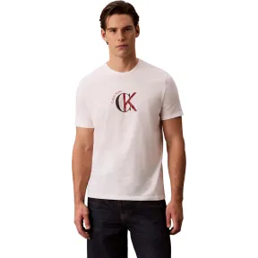 Camiseta corta Calvin Klein tallas L y XL