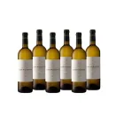 Pack de 6 botellas de 70 cl de Jose Pariente Verdejo 13º