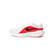 Zapatillas de Correr Nike Downshifter 14