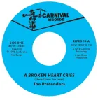 Un Corazón Roto Llora por el Resto de Mis Días - The Pretenders