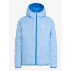 Chaqueta ADIDAS TERREX 'Xperior' Azul Claro para Montaña