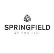 Camisetas a 5,04€ en Springfield - Código y Recogida en Tienda
