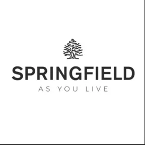 Camisetas a 5,04€ en Springfield - Código y Recogida en Tienda