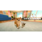 Perros y Gatos: Amigos Pequeños
