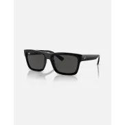 Gafas Ray-ban WARREN BIO-BASED de sol