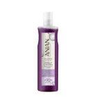 Champú de Cebolla y Biotina ANIAN - 100 ml Viaje