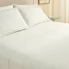 Sábanas de algodón verde sage, cama 150 cm y más medidas
