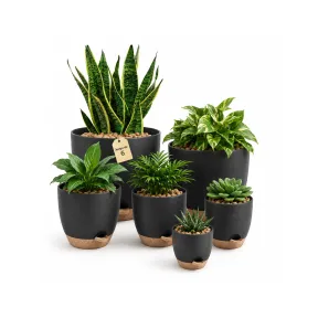 Macetas de Plástico Autorriego para Interior, Set de 6 Piezas