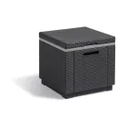 Mesa Keter Ice Cube Nevera de Jardín 42x42x41 cm