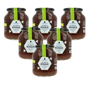 Miel Cruda de Bosque Planeta Huerto 6x1 Kg Pack