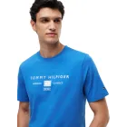 Camiseta SS para Hombre Tommy Hilfiger en talla XS a XXL
