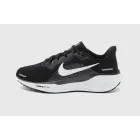 Nike Pegasus 41 - Zapatillas de running asfalto en tallas 38-40.5