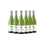 Clamor Raimat: 6 Botellas de Vino Blanco