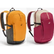 Mochila Quechua Arpenaz 100 de 20L en varios colores
