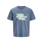 Camiseta Jjindiana blanca para hombre de JACK & JONES (S, M, L)