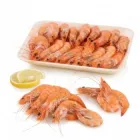 Langostinos 1kg (4060 unidades) frescos y deliciosos