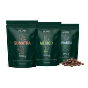 Pack 3 Café de Especialidad Incapto Grano Natural 3x500g