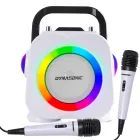 Karaoke USB DYNASONIC con micrófono incluido