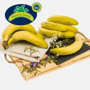 1,49€ el Kilo de Plátano de Canarias