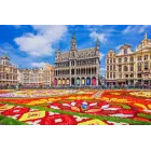 Vuelos desde 35€ Ida y Vuelta a Bruselas en octubre