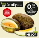 Melón Piel de Sapo España a 0,49€ el Kilo Cat. 1ª
