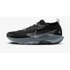 Zapatillas de trail running Nike PEGASUS TRAIL 5 GoreTex
