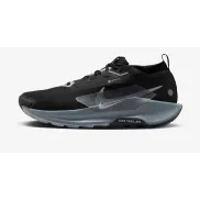 Zapatillas de trail running Nike PEGASUS TRAIL 5 GoreTex