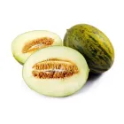 Melón piel de sapo por kilogramo