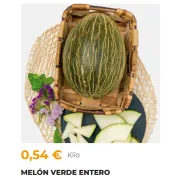 Melón Piel de Sapo 0,54€/Kilo - Origen España