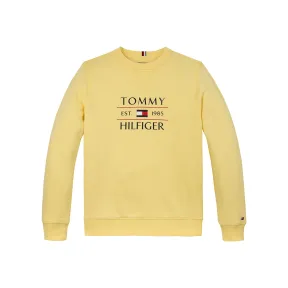 Sudadera Tommy para niño