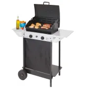 Campingaz Xpert 100 L Barbacoa de gas con 2 quemadores