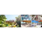 Escapada a PortAventura: Hotel 4* con Spa y Acceso al Parque