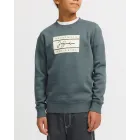 Sudadera Jack & Jones para niño desde 11€ - Varios modelos