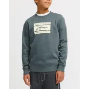 Sudadera Jack & Jones para niño desde 11€ - Varios modelos
